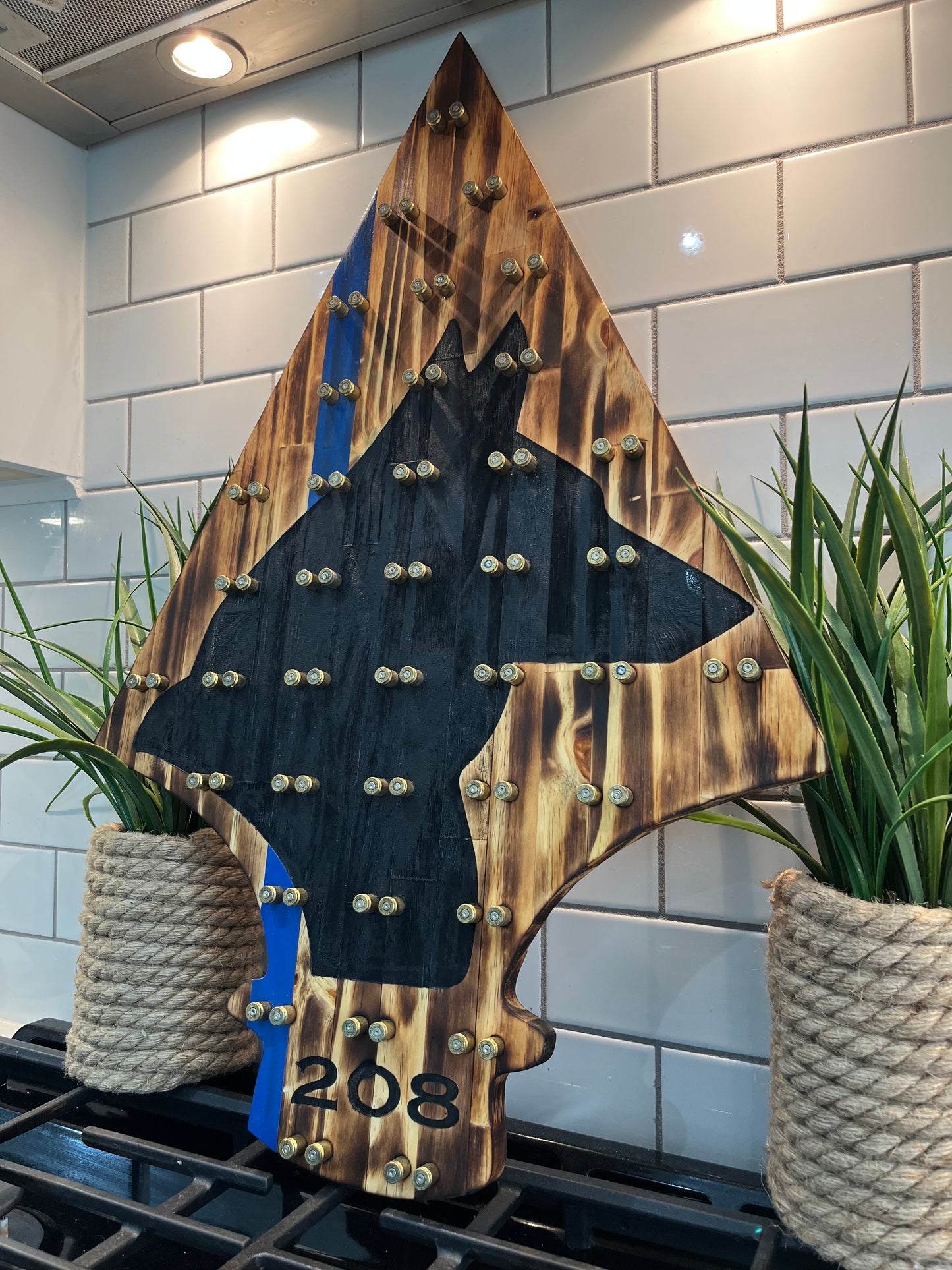 Spearhead K9 Challenge Coin Display image 1