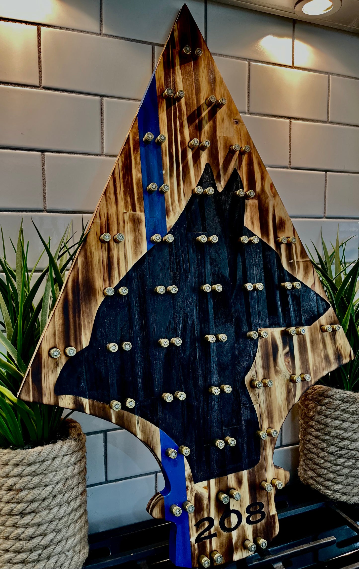 Spearhead K9 Challenge Coin Display image 2