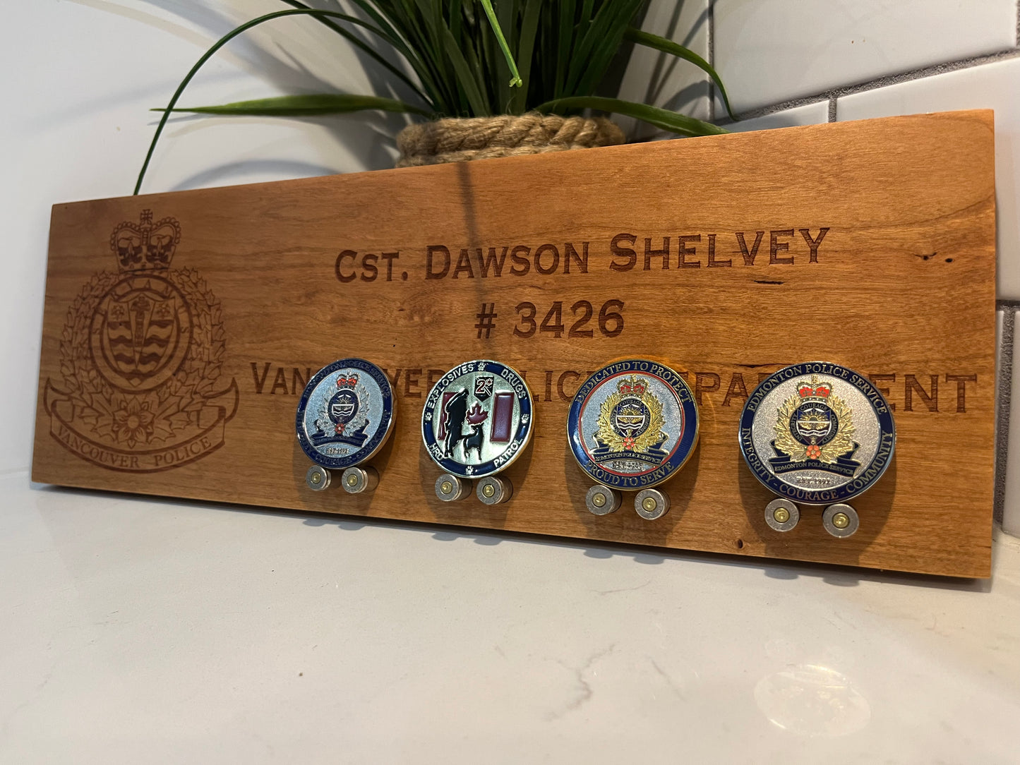 Name Plate / Challenge Coin Display image 2