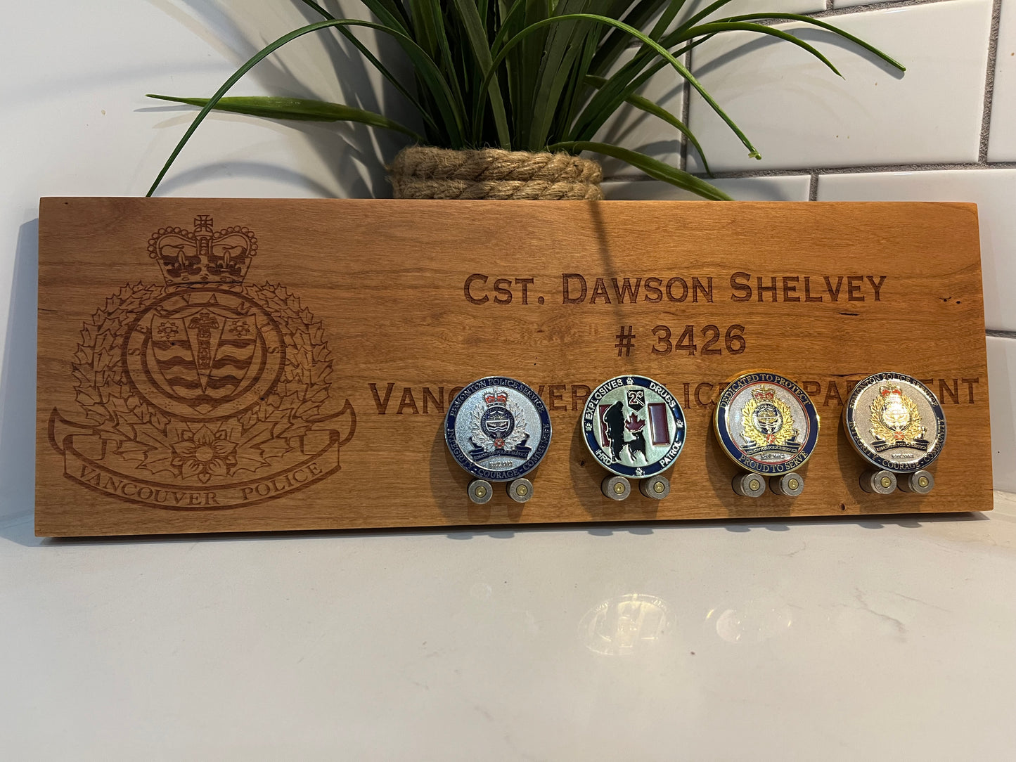 Name Plate / Challenge Coin Display image 1