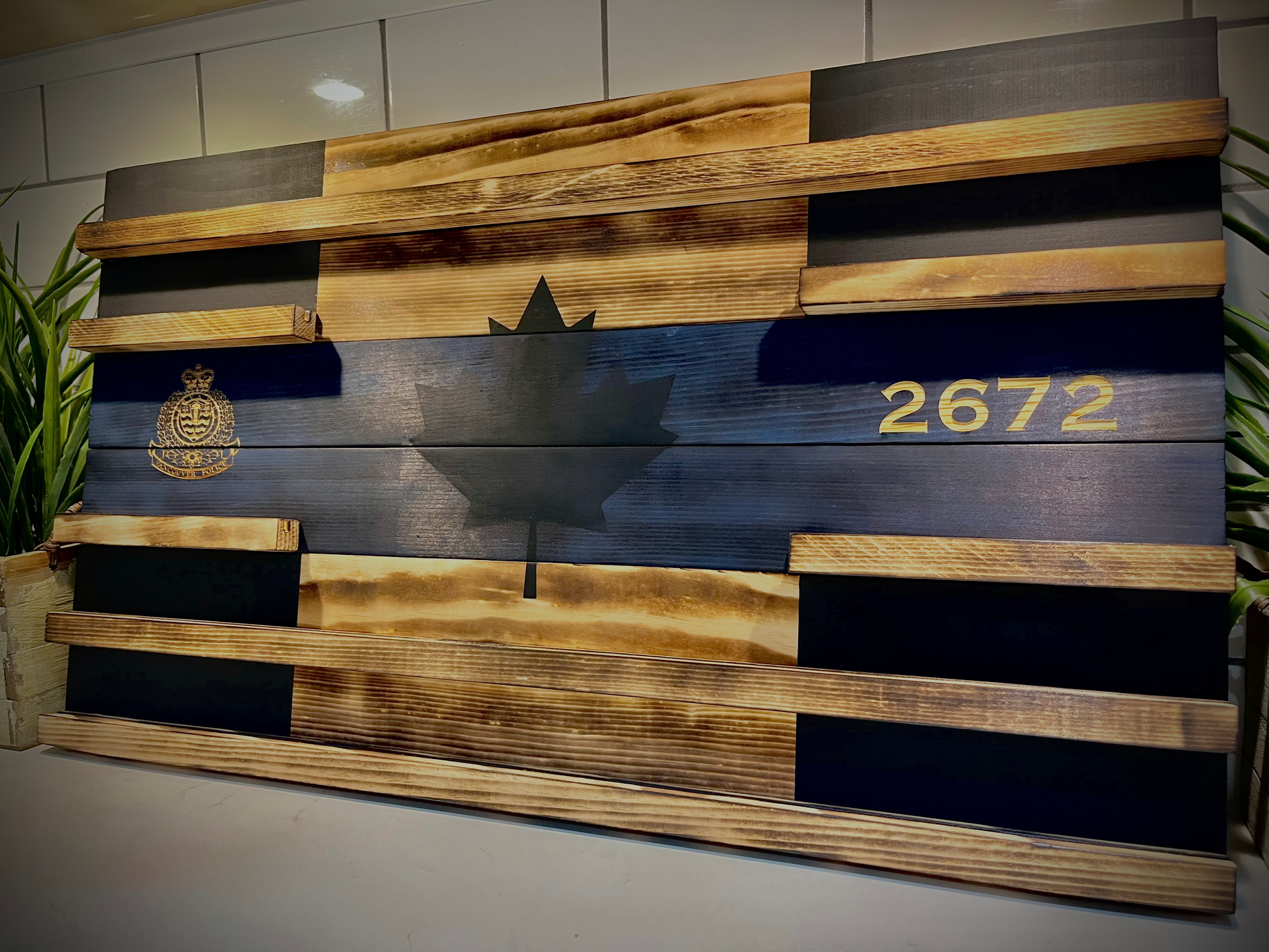 Poplar Shelf Challenge Coin Display Case image 0