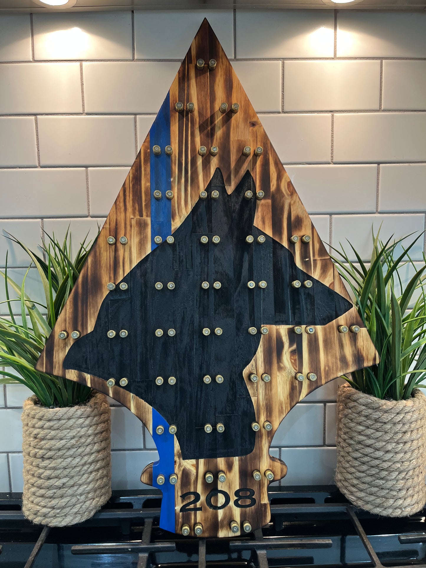 Spearhead K9 Challenge Coin Display image 0