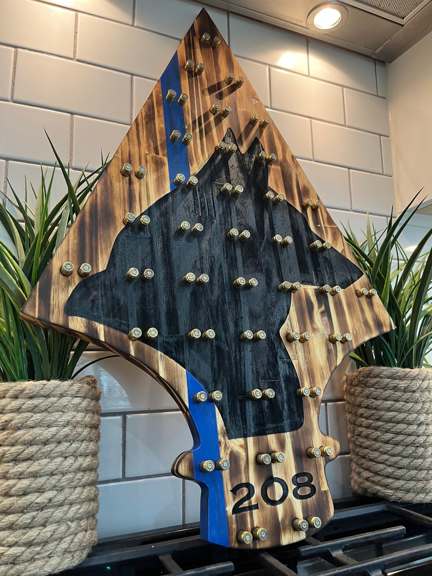 Spearhead K9 Challenge Coin Display image 3