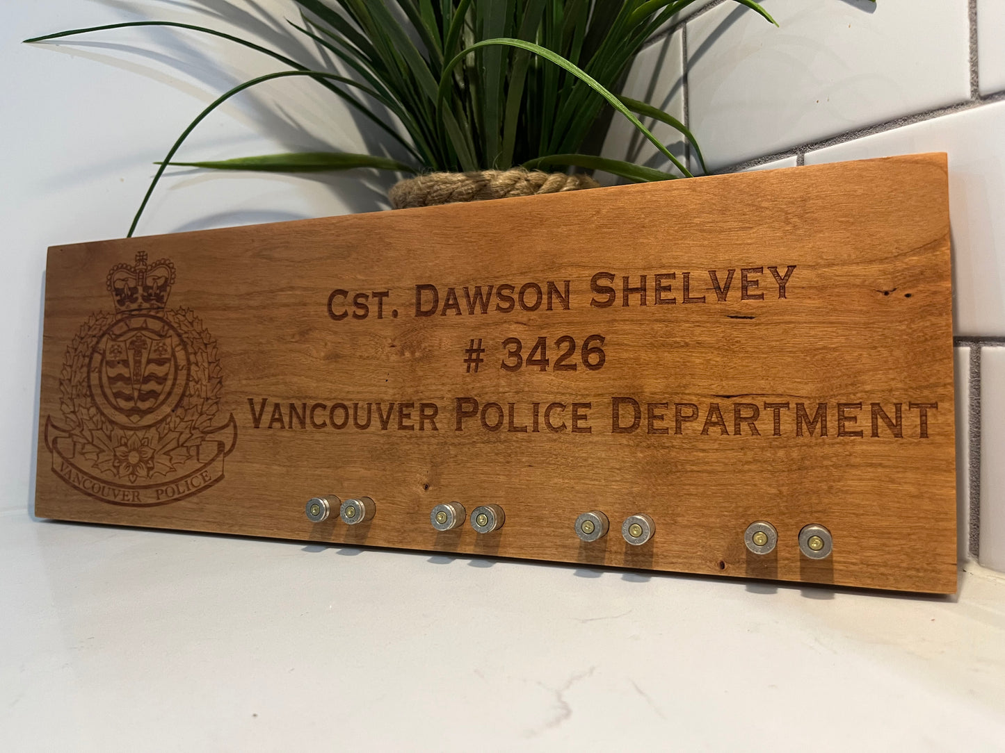 Name Plate / Challenge Coin Display image 3