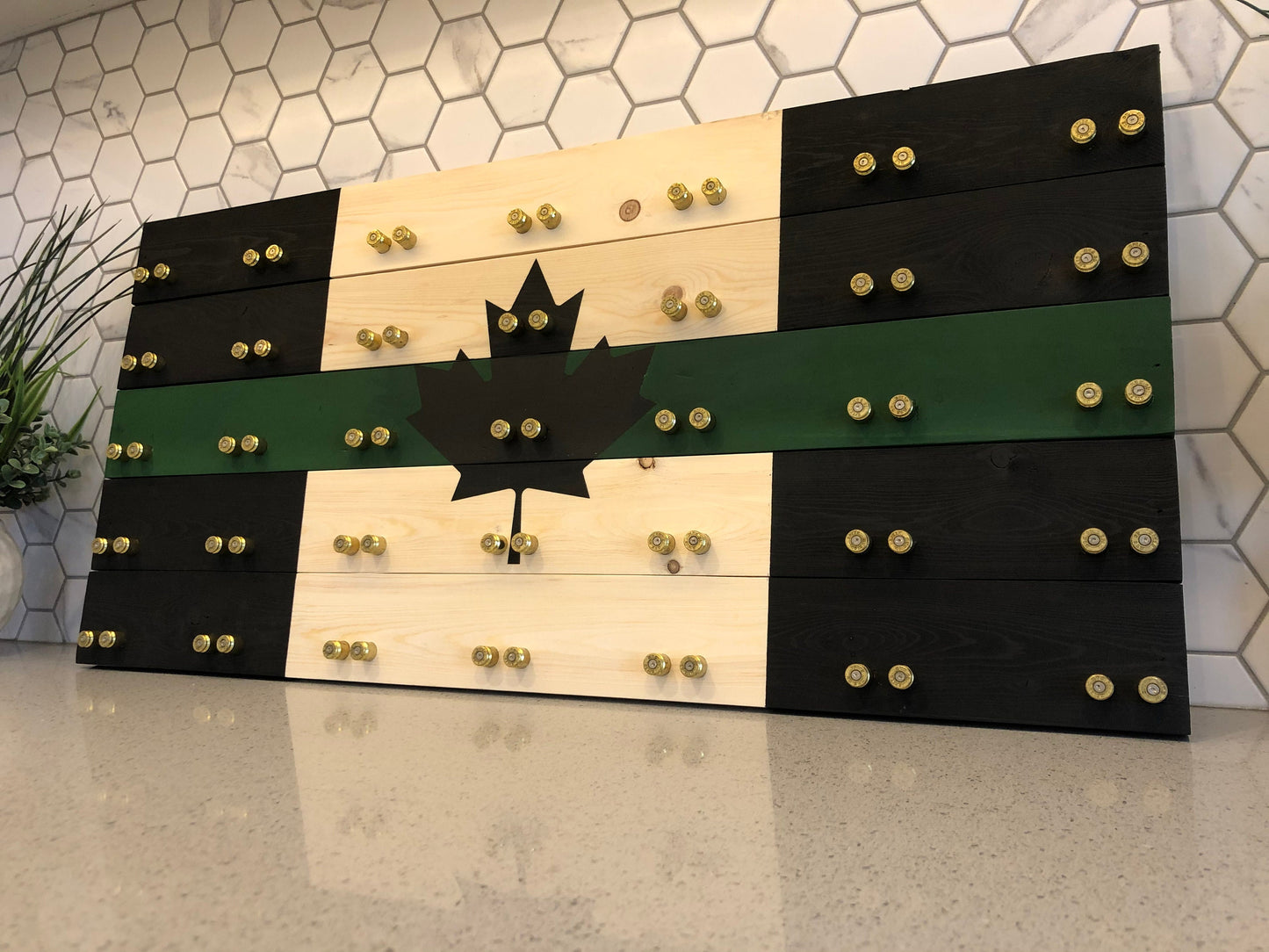 Thin Green Line Challenge Coin Display Case image 1