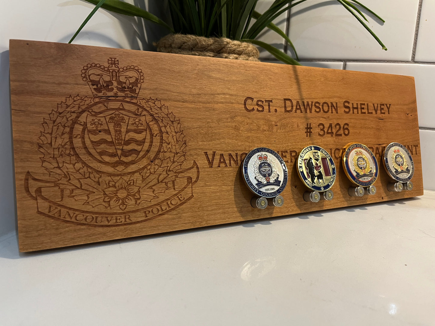 Name Plate / Challenge Coin Display image 0